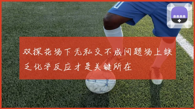 双探花场下无私交不成问题场上缺乏化学反应才是关键所在