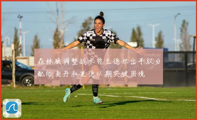 森林狼调整战术将兰德尔出手权分配给麦丹和里德以期突破困境