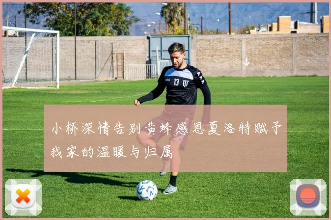小桥深情告别黄蜂感恩夏洛特赋予我家的温暖与归属